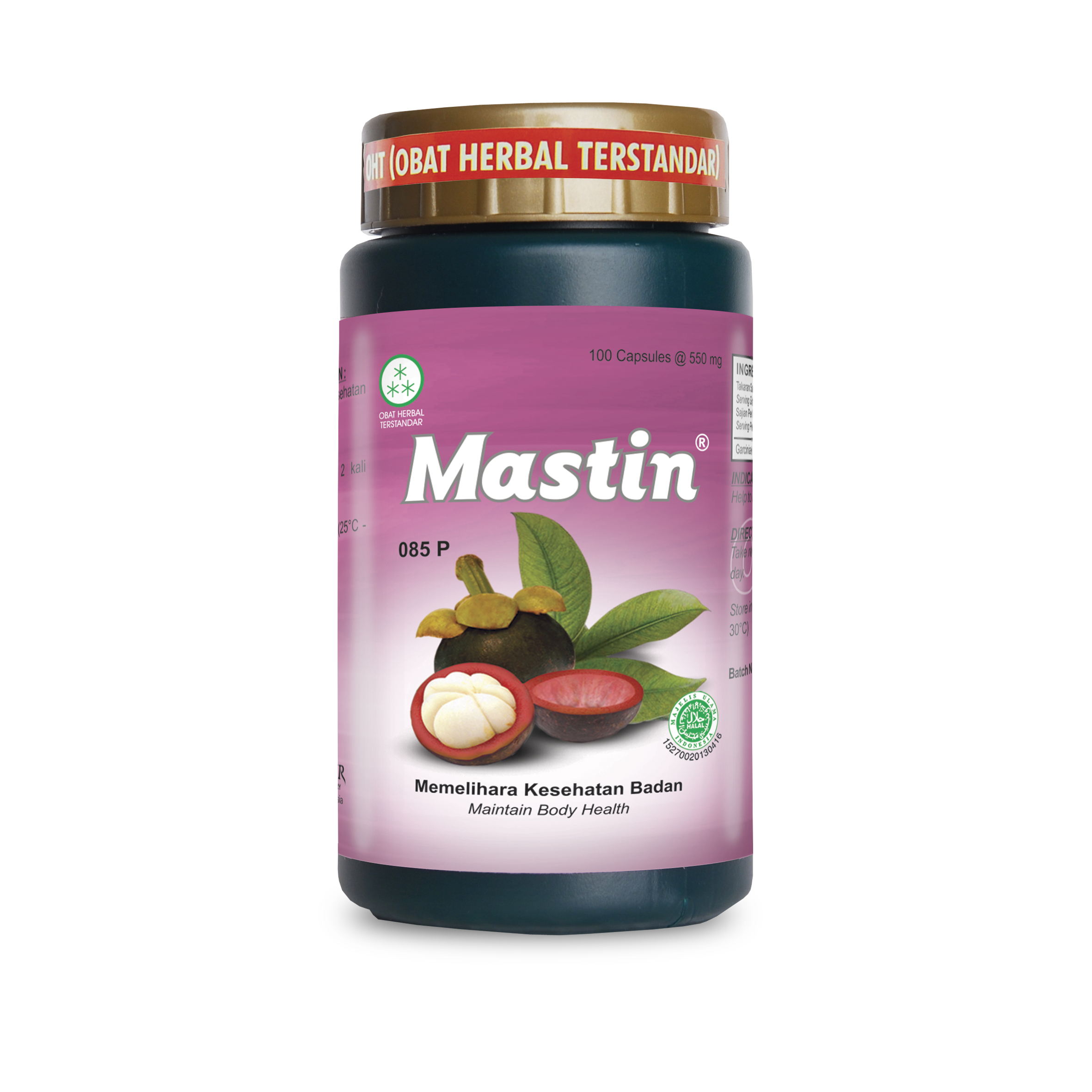 MASTIN 100 KPS